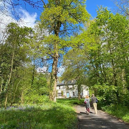 Blackhill Woods Retreat Abbeyleix Exterior foto
