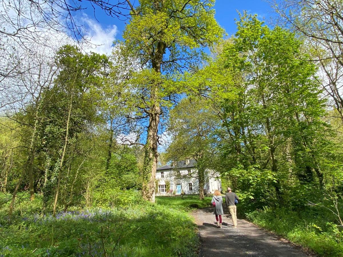 Blackhill Woods Retreat Abbeyleix Exterior foto