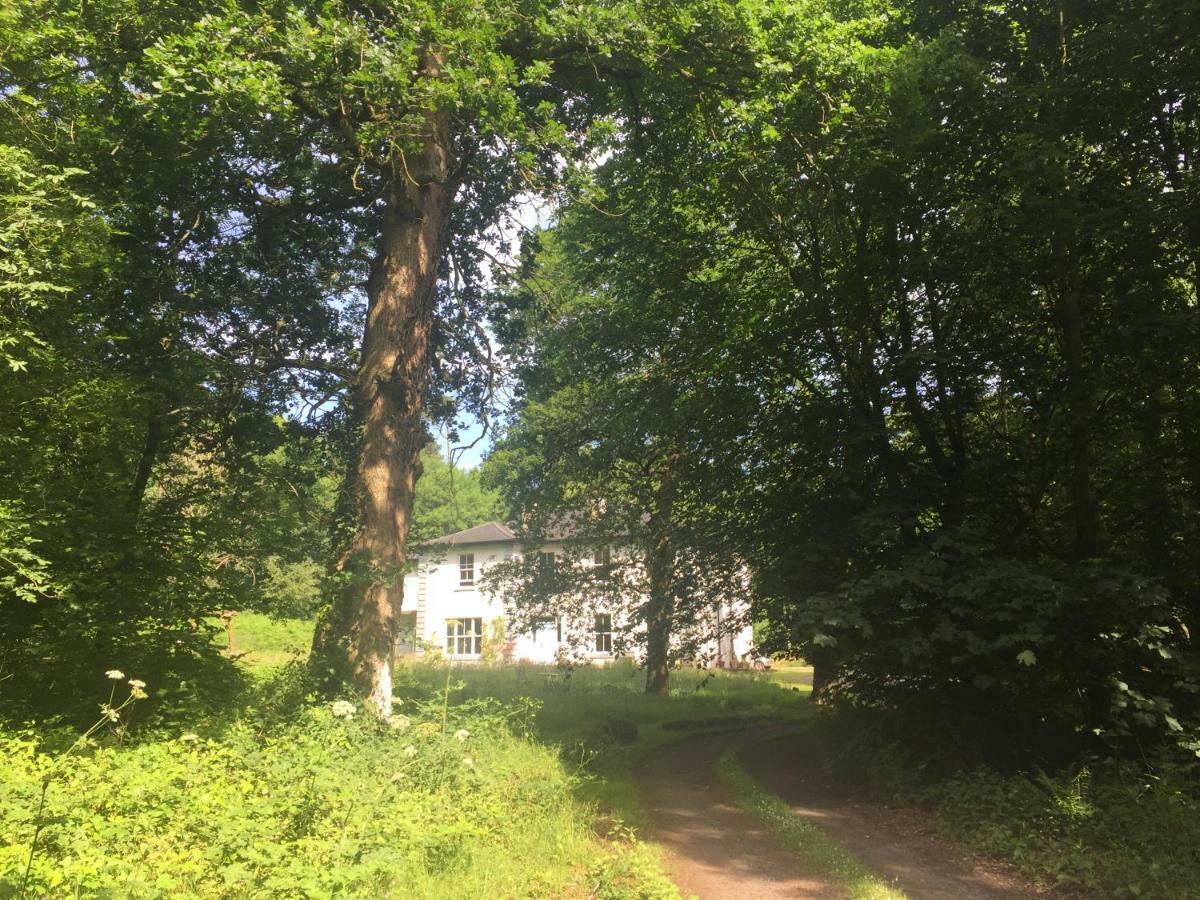 Blackhill Woods Retreat Abbeyleix Exterior foto